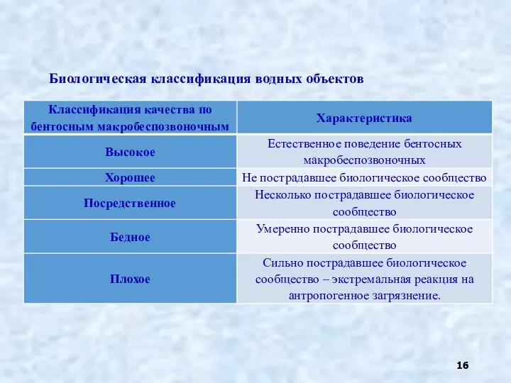 Биологическая классификация водных объектов