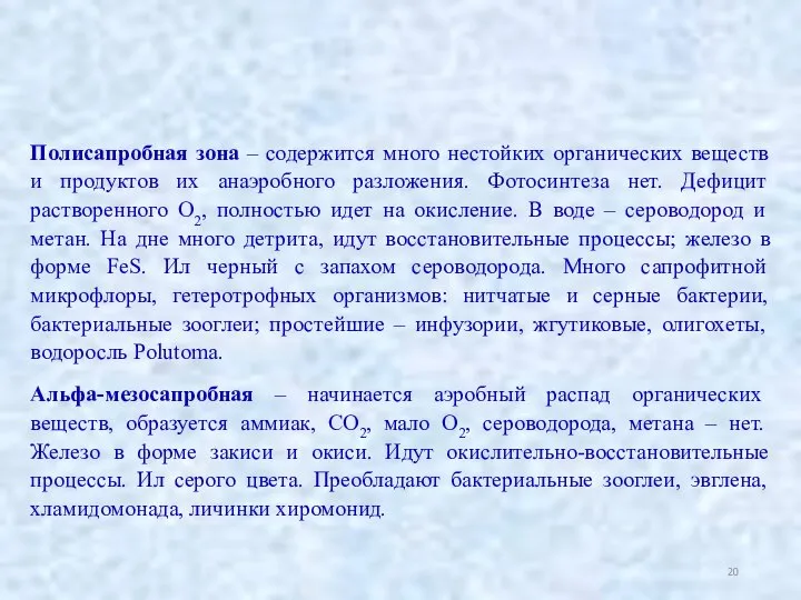 Полисапробная зона – содержится много нестойких органических веществ и продуктов их