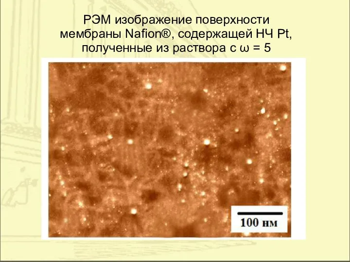 РЭМ изображение поверхности мембраны Nafion®, содержащей НЧ Pt, полученные из раствора c ω = 5