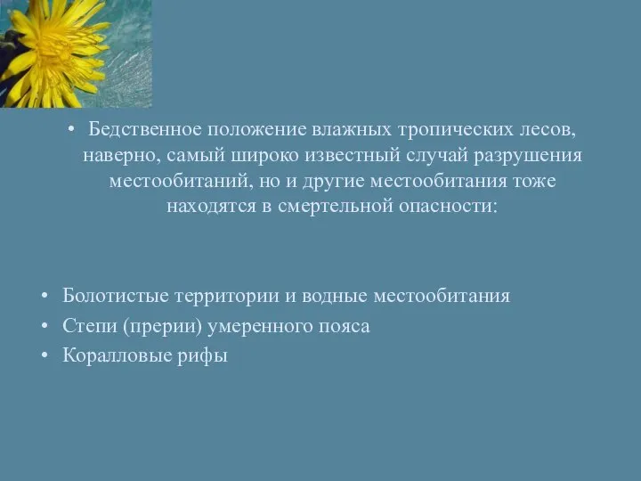 Бедственное положение влажных тропических лесов, наверно, самый широко известный случай разрушения