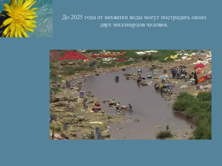 До 2025 года от нехватки воды могут пострадать около двух миллиардов человек.