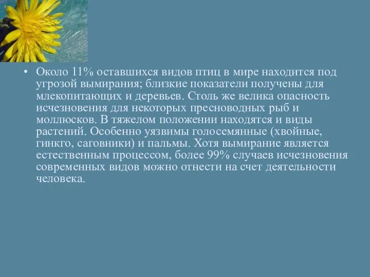 Около 11% оставшихся видов птиц в мире находится под угрозой вымирания;