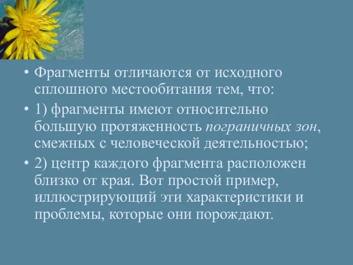 Фрагменты отличаются от исходного сплошного местообитания тем, что: 1) фрагменты имеют