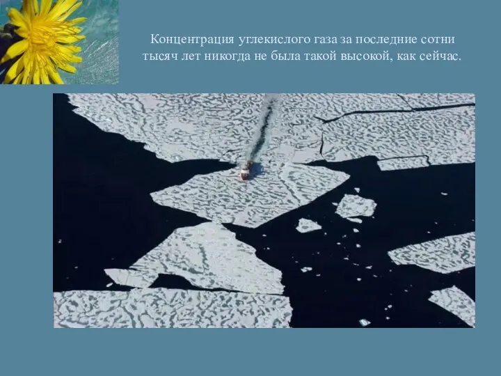 Концентрация углекислого газа за последние сотни тысяч лет никогда не была такой высокой, как сейчас.