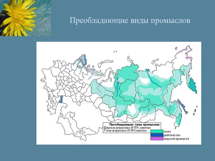 Преобладающие виды промыслов