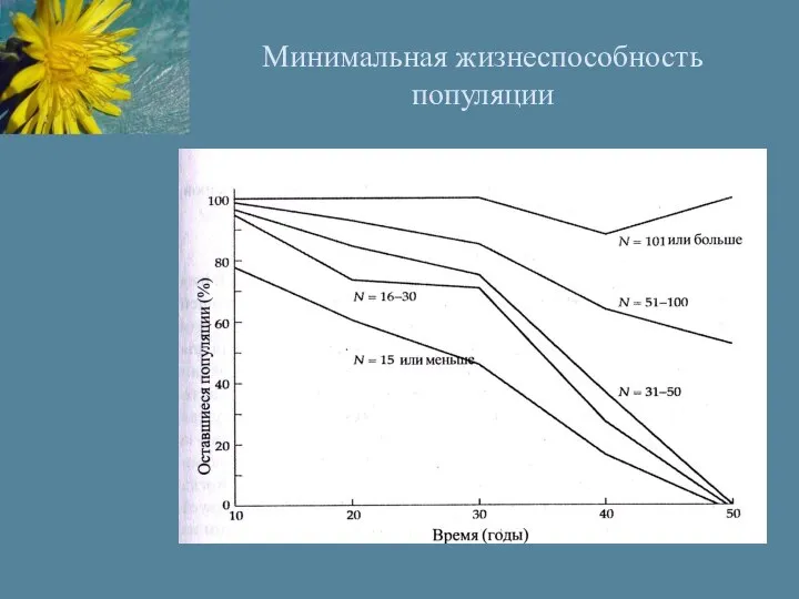 Минимальная жизнеспособность популяции