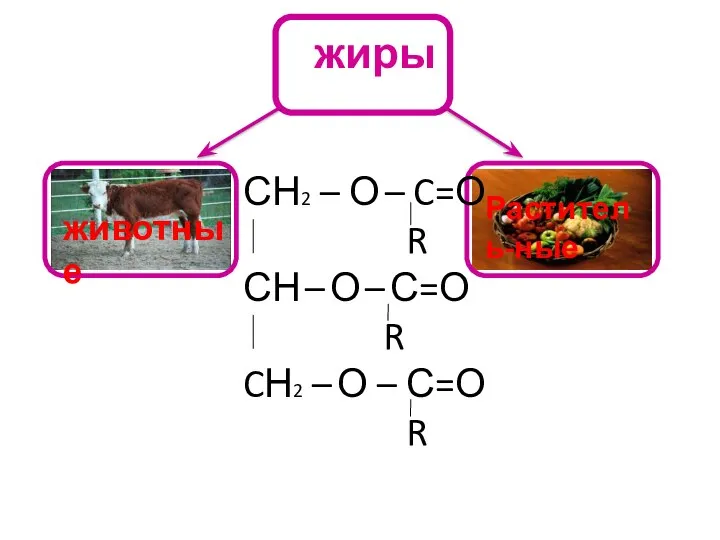 жиры животные Раститель-ные СН2 – О – C=О R СН –