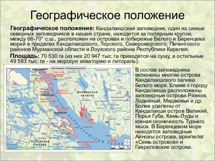 Географическое положение Географическое положение: Кандалакшский заповедник, один из самых северных заповедников