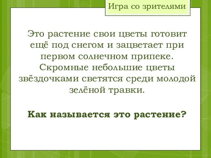 Игра со зрителями Это растение свои цветы готовит ещё под снегом