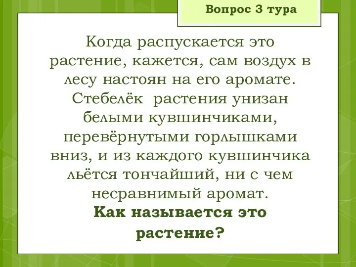 Вопрос 3 тура Когда распускается это растение, кажется, сам воздух в