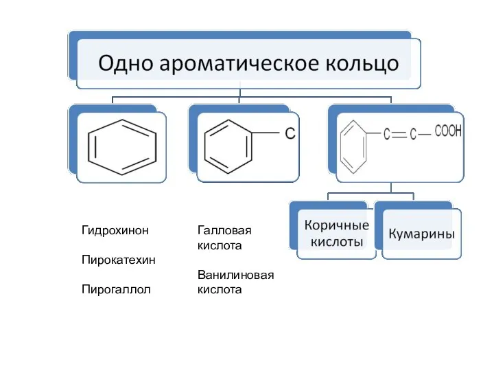 Гидрохинон Пирокатехин Пирогаллол Галловая кислота Ванилиновая кислота