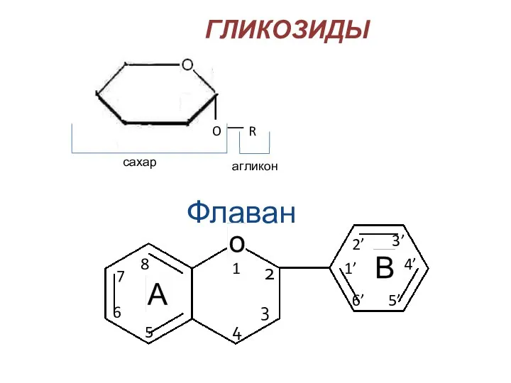 Флаван O R ГЛИКОЗИДЫ сахар агликон