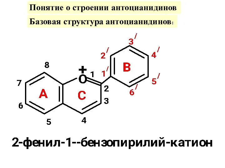 Понятие о строении антоцианидинов Базовая структура антоцианидинов: