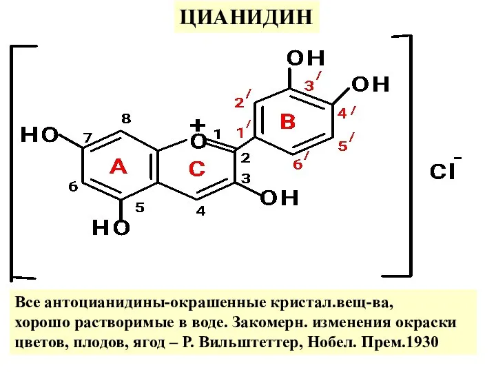 ЦИАНИДИН Все антоцианидины-окрашенные кристал.вещ-ва, хорошо растворимые в воде. Закомерн. изменения окраски