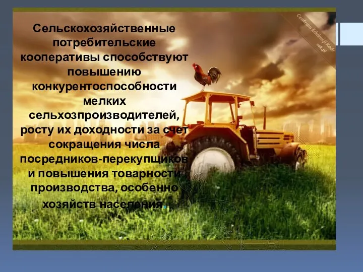 Сельскохозяйственные потребительские кооперативы способствуют повышению конкурентоспособности мелких сельхозпроизводителей, росту их доходности