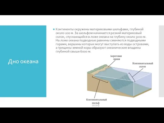 Дно океана Континенты окружены материковыми шельфами, глубиной около 200 м. За