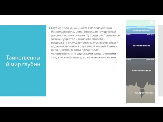 Таинственный мир глубин Глубже 1000 м начинается малоизученная батипелагиаль, охватывающая толщу