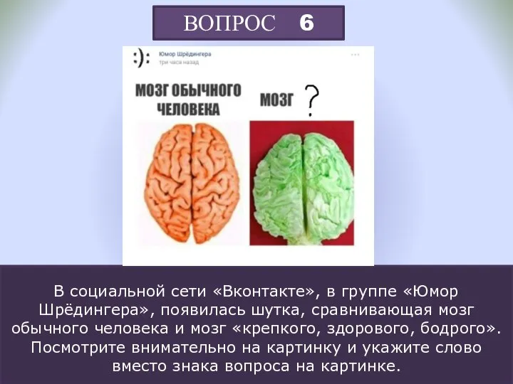 ВОПРОС 6 В социальной сети «Вконтакте», в группе «Юмор Шрёдингера», появилась