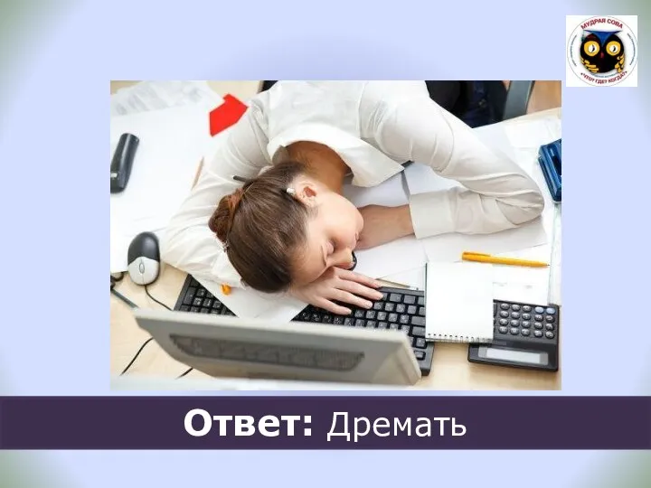 Ответ: Дремать