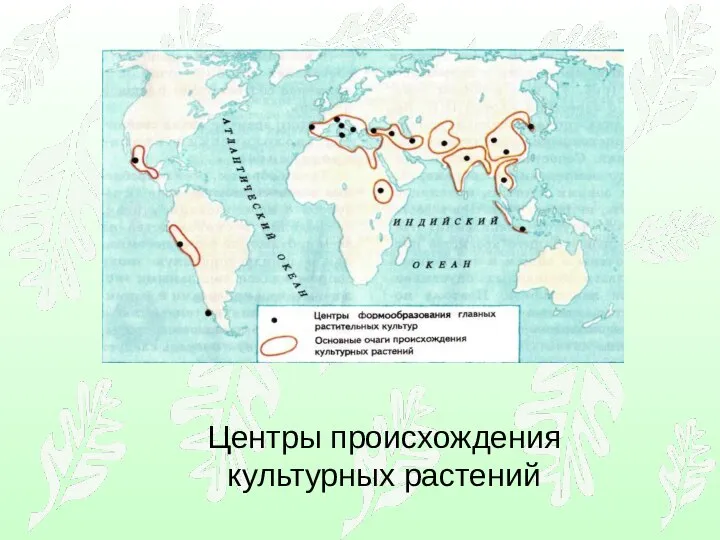 Центры происхождения культурных растений