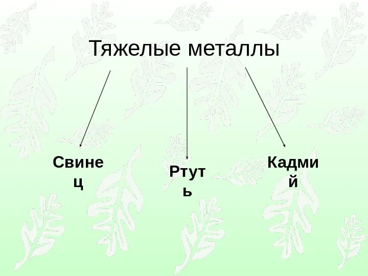 Тяжелые металлы Свинец Ртуть Кадмий