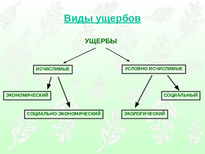 Виды ущербов ИСЧИСЛИМЫЕ УСЛОВНО ИСЧИСЛИМЫЕ ЭКОНОМИЧЕСКИЙ СОЦИАЛЬНО-ЭКОНОМИЧЕСКИЙ СОЦИАЛЬНЫЙ ЭКОЛОГИЧЕСКИЙ УЩЕРБЫ