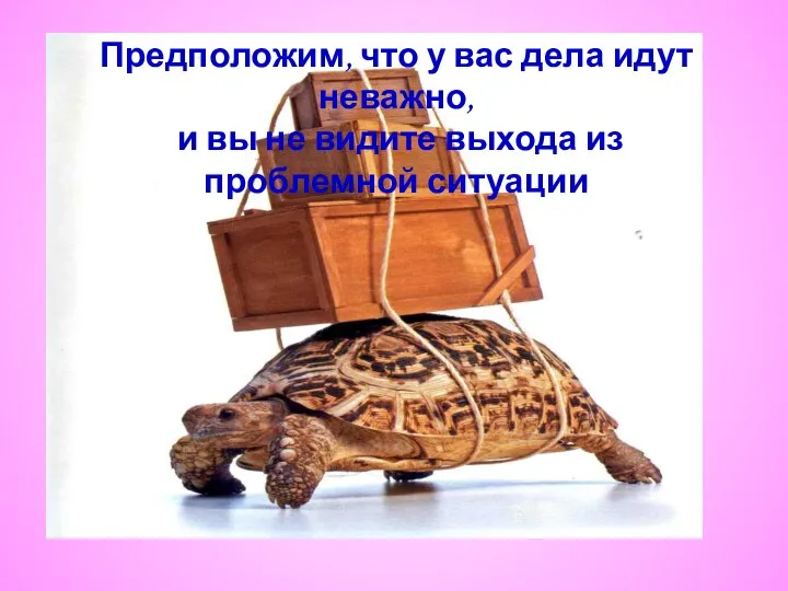 Предположим, что у вас дела идут неважно, и вы не видите выхода из проблемной ситуации