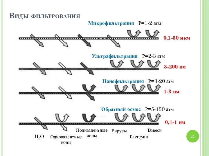 Виды фильтрования Н2О Одновалентные ионы Поливалентные ионы Вирусы Бактерии Взвеси Микрофильтрация