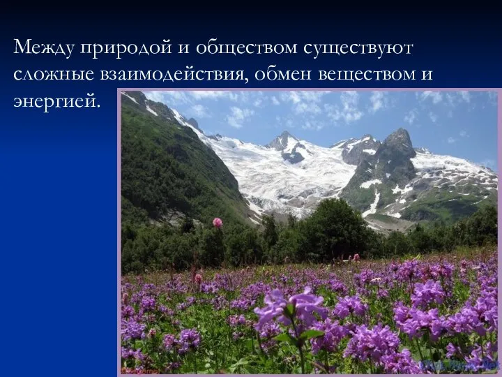 Между природой и обществом существуют сложные взаимодействия, обмен веществом и энергией.