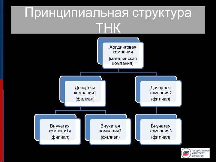 Принципиальная структура ТНК