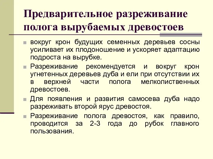 Предварительное разреживание полога вырубаемых древостоев вокруг крон будущих семенных деревьев сосны