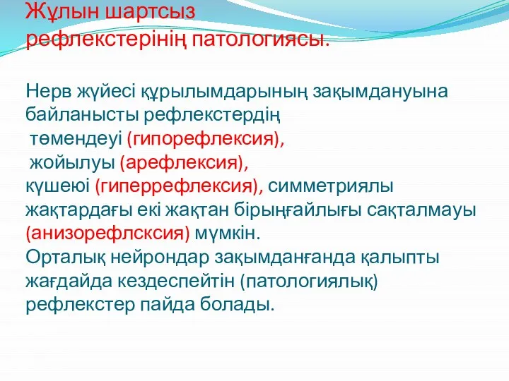 Жұлын шартсыз рефлекстерінің патологиясы. Нерв жүйесі құрылымдарының зақымдануына байланысты рефлекстердің төмендеуі