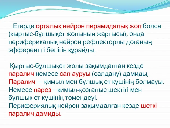 Егерде орталық нейрон пирамидалық жол болса (қыртыс-бұлшықет жолының жартысы), онда периферикалық