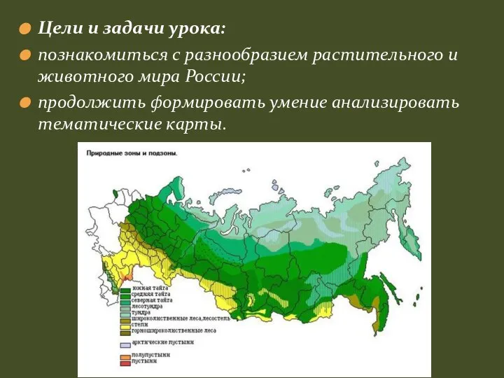 Цели и задачи урока: познакомиться с разнообразием растительного и животного мира