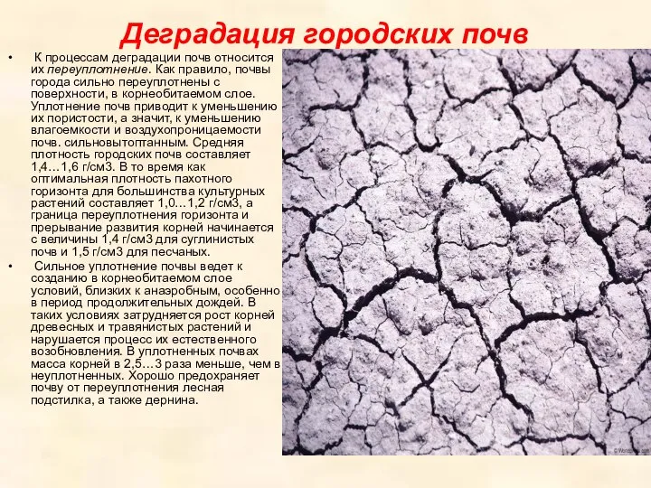 Деградация городских почв К процессам деградации почв относится их переуплотнение. Как