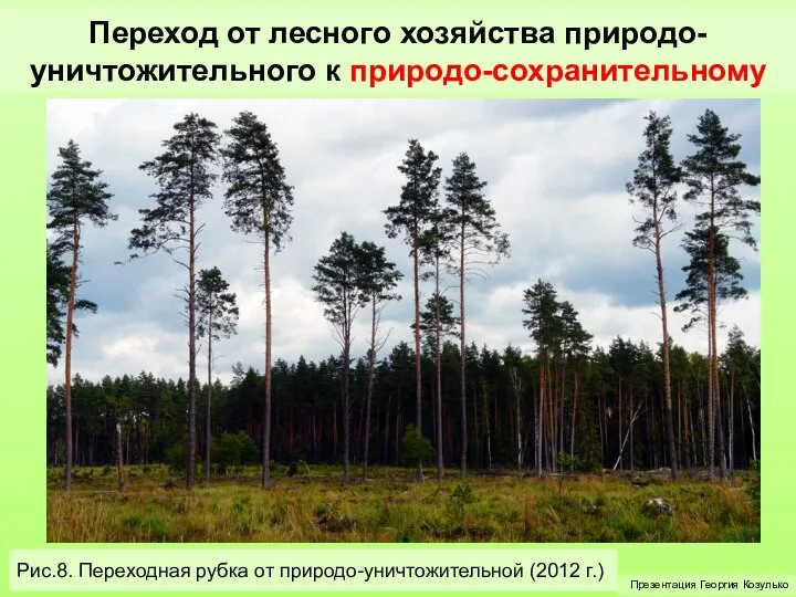 Переход от лесного хозяйства природо-уничтожительного к природо-сохранительному Презентация Георгия Козулько Рис.8.