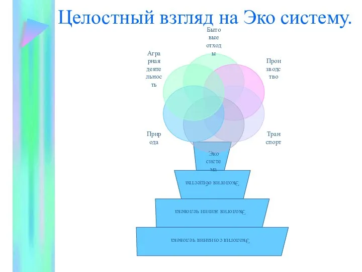 Целостный взгляд на Эко систему.