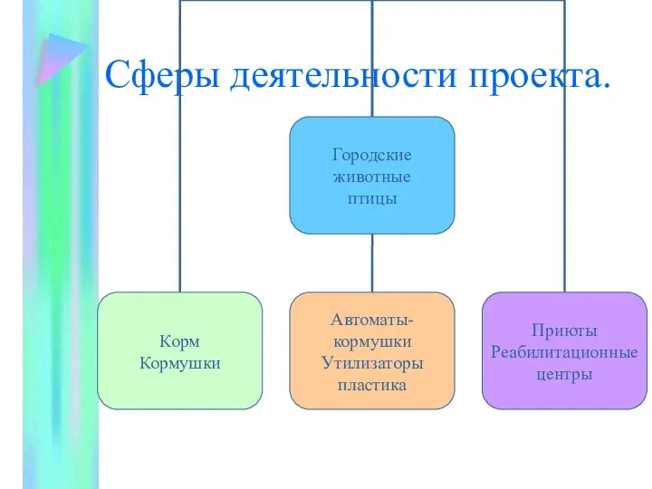 Сферы деятельности проекта.