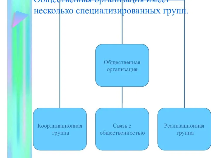 Общественная организация имеет несколько специализированных групп.