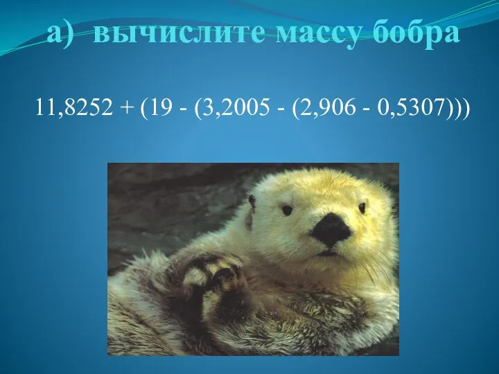 а) вычислите массу бобра 11,8252 + (19 - (3,2005 - (2,906 - 0,5307)))