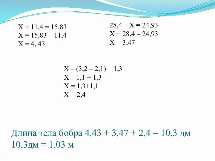 Длина тела бобра 4,43 + 3,47 + 2,4 = 10,3 дм