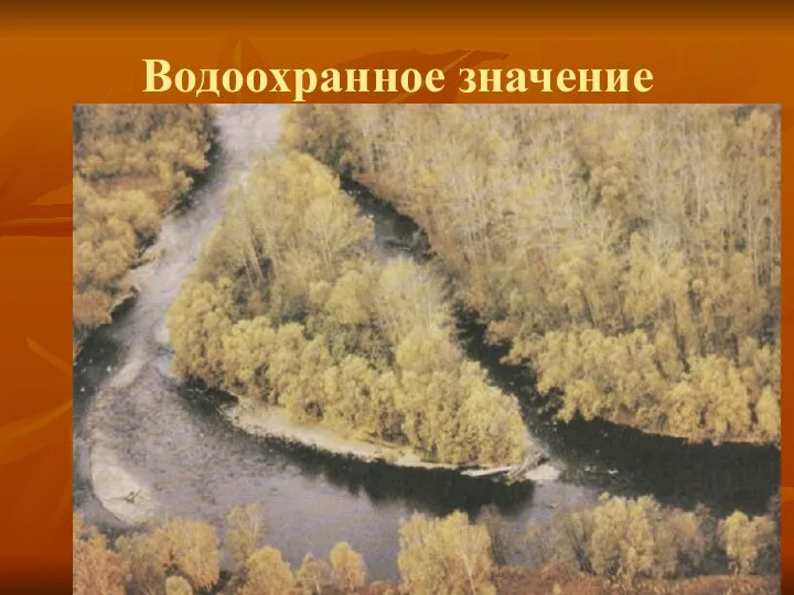 Водоохранное значение