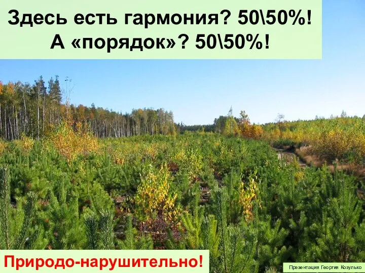 Презентация Георгия Козулько Здесь есть гармония? 50\50%! А «порядок»? 50\50%! Природо-нарушительно!