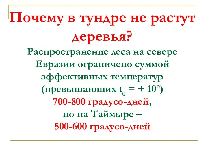 Почему в тундре не растут деревья? Распространение леса на севере Евразии