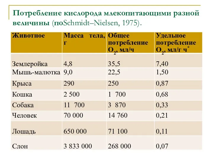 Потребление кислорода млекопитающими разной величины (поSchmidt–Nielsen, 1975).