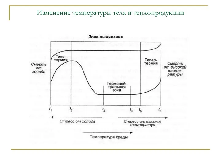 Изменение температуры тела и теплопродукции