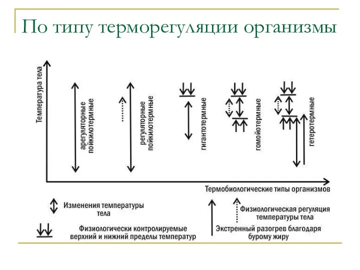 По типу терморегуляции организмы