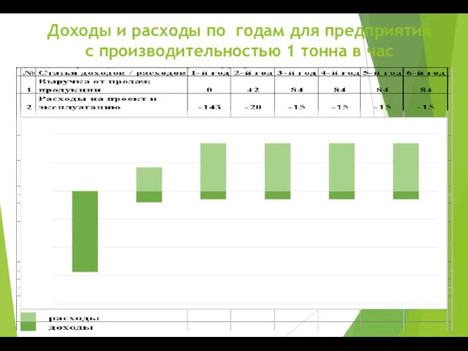 Доходы и расходы по годам для предприятия с производительностью 1 тонна в час