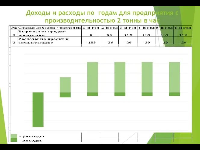 Доходы и расходы по годам для предприятия с производительностью 2 тонны в час