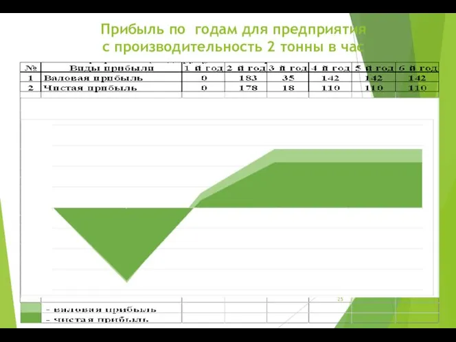 Прибыль по годам для предприятия с производительность 2 тонны в час